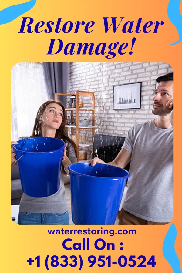 water restoration Ultimate Mitigation Solutions Oglesby