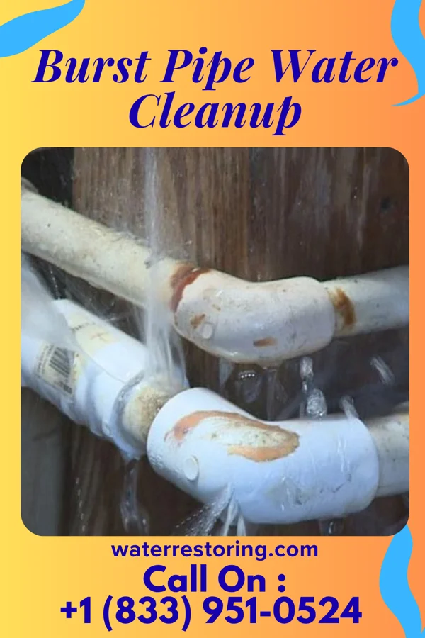 Burst Pipe Water Cleanup in Oglesby, IL