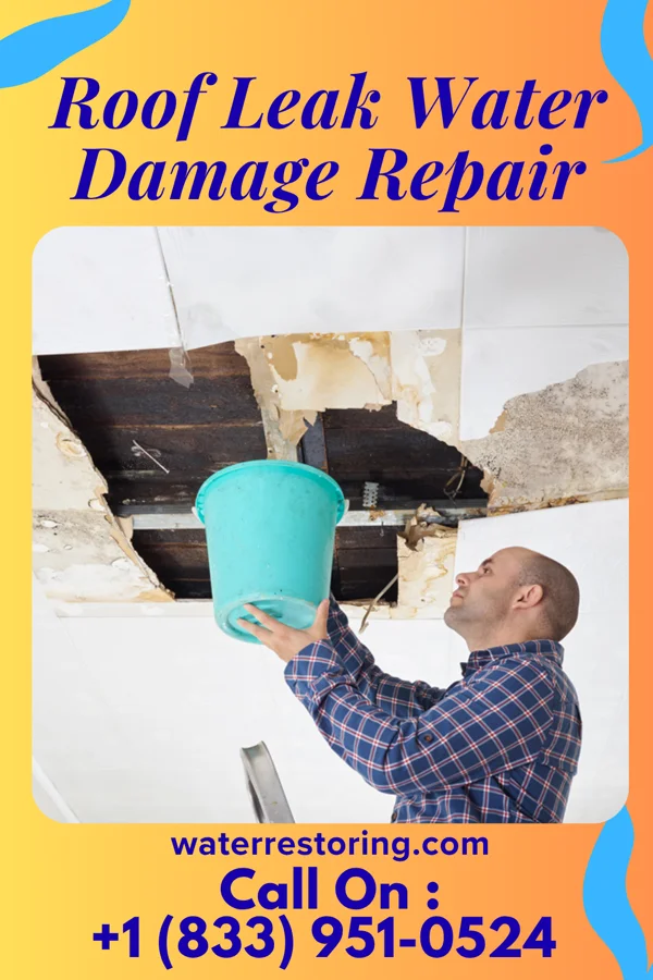 Roof Leak Water Damage Repair in Oglesby, IL