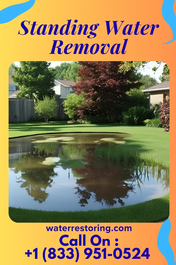 Standing Water Removal in Oglesby, IL